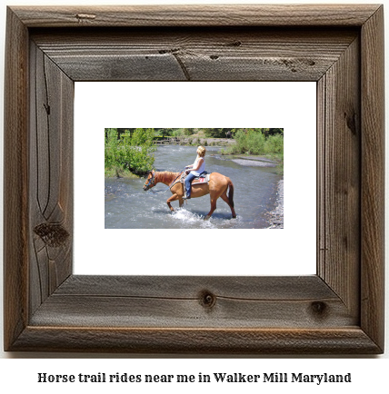 horse trail rides near me in Walker Mill, Maryland